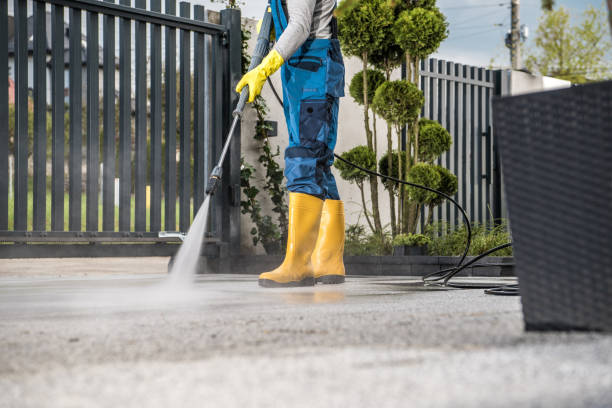 Best Soft Washing for Delicate Surfaces in Hanover Park, IL